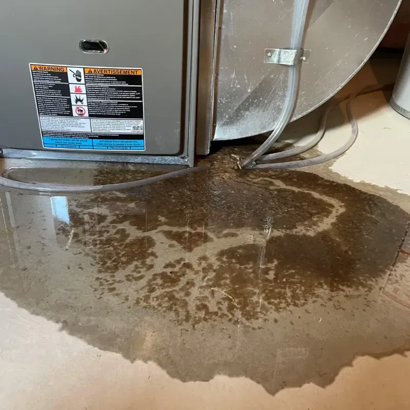 Appliance Leak Cleanup in Natchez, MS